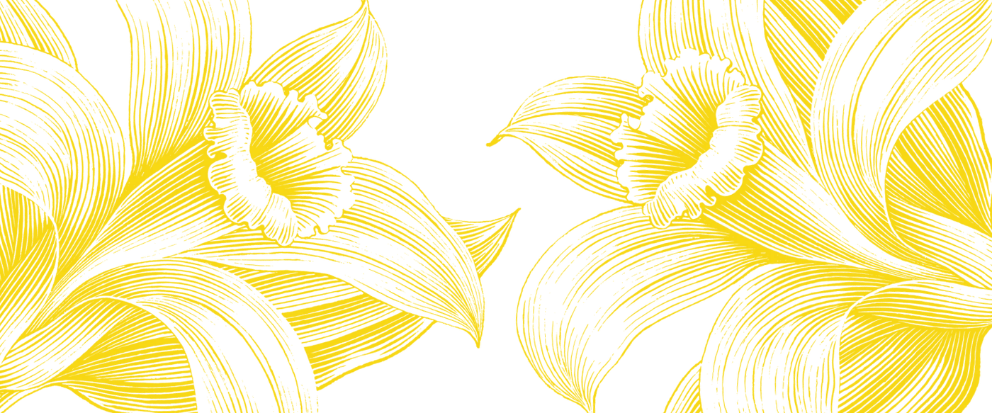 Picture - T&C Key Visual flower banner desktop